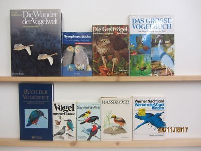 39 Bücher Bildbände Vögel Vogelkunde Ziervögel Vogelwelt Vogelführer