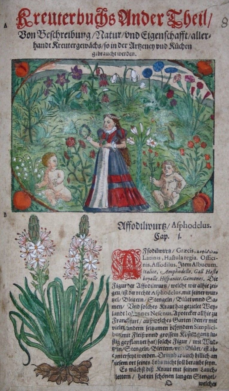 ADAM LONICER,KREUTERBUCH,KUNSTLICHE CONTERFEYTUNGE,KOLORIERT,1598,RAR
