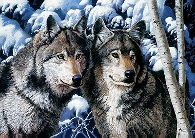 Trefl 10318 Puzzle 1000 Teile Wölfe im Schnee Wolf Isegrim
