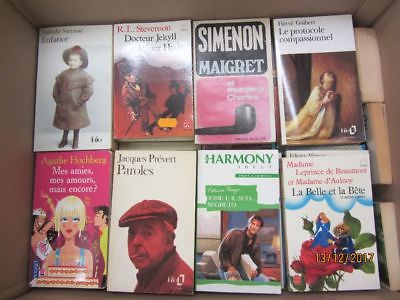 100 Bücher Taschenbücher verschiedene Verlage französische Taschenbücher