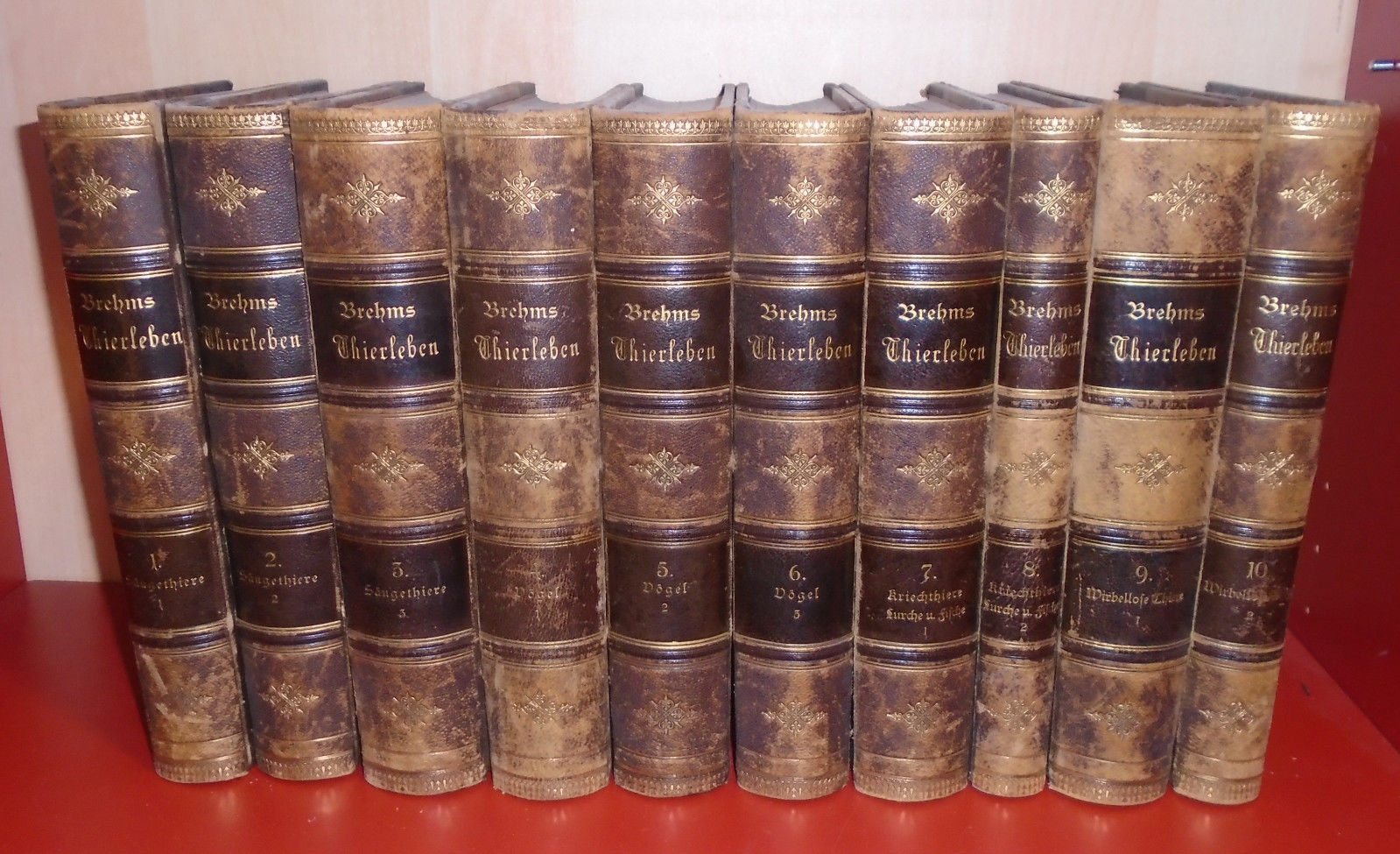 Brehm's Thierleben - 10 Bände - 1876 - Grosse Ausgabe