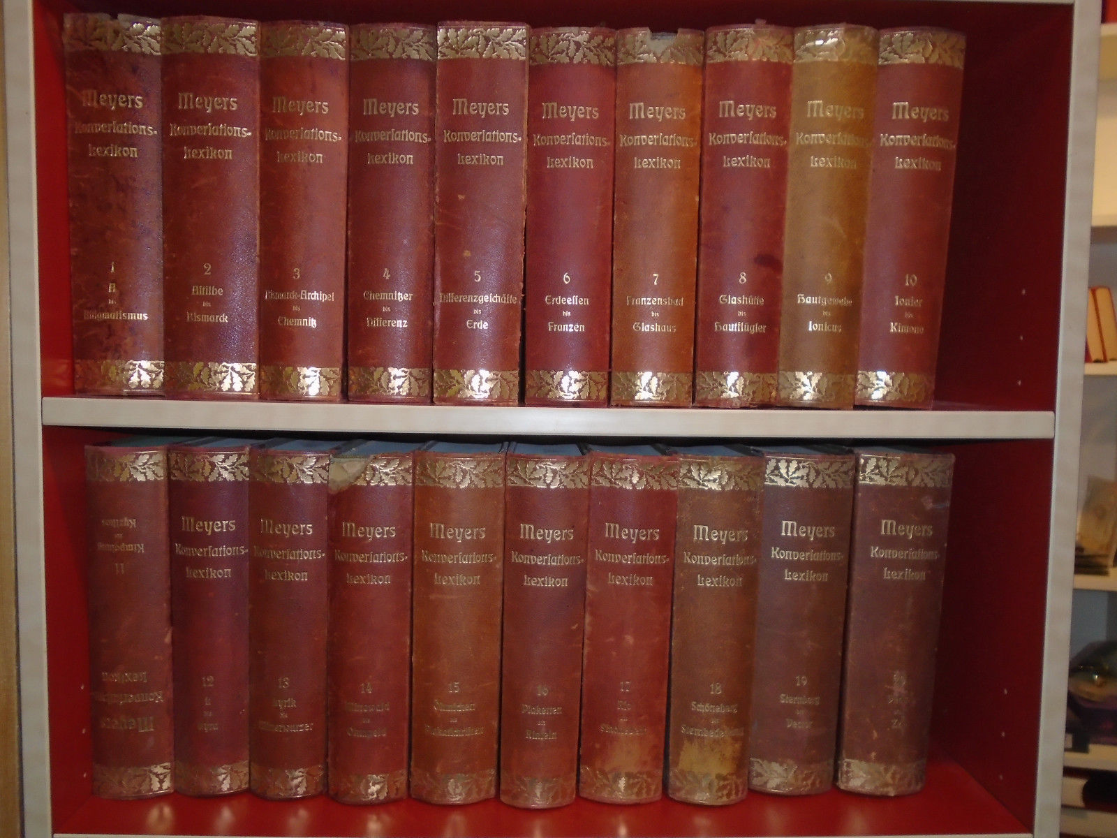 Meyer's Grosses Konversations-Lexikon. 20 Bände. 1905-1909. Eichenlaub-Leder