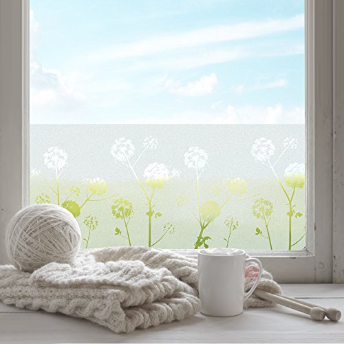 FANCY-FIX selbsthaftende Fensterfolie mit Löwenzahn-Motiv statische Sonnenschutzfolie - UV-Schutz & Sichtschutz - Milchglasfolie zur Dekoration und Schutz der Privatsphäre (43 x 200 cm)