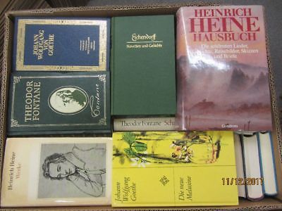 46 Bücher Romane Deutsche Dichter und Denker Schiller Goethe Storm u.a.