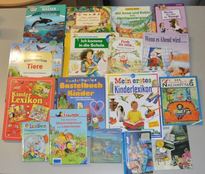Kinder Bücher Paket  17 Stk. Junge Leser Sammlung  N1