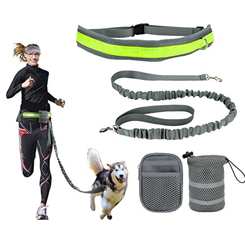 KYG Jogging Hundeleine mit Hüftgurt und Reflektor-Streifen elastisch 200-240 CM ideal fürs Jogging, Radfahren, Reiten oder als normale Hundeleine.