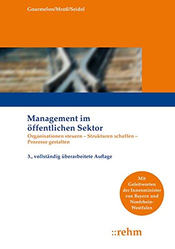 Management im öffentlichen Sektor: Organisationen steuern - Strukturen schaffen - Prozesse gestalten