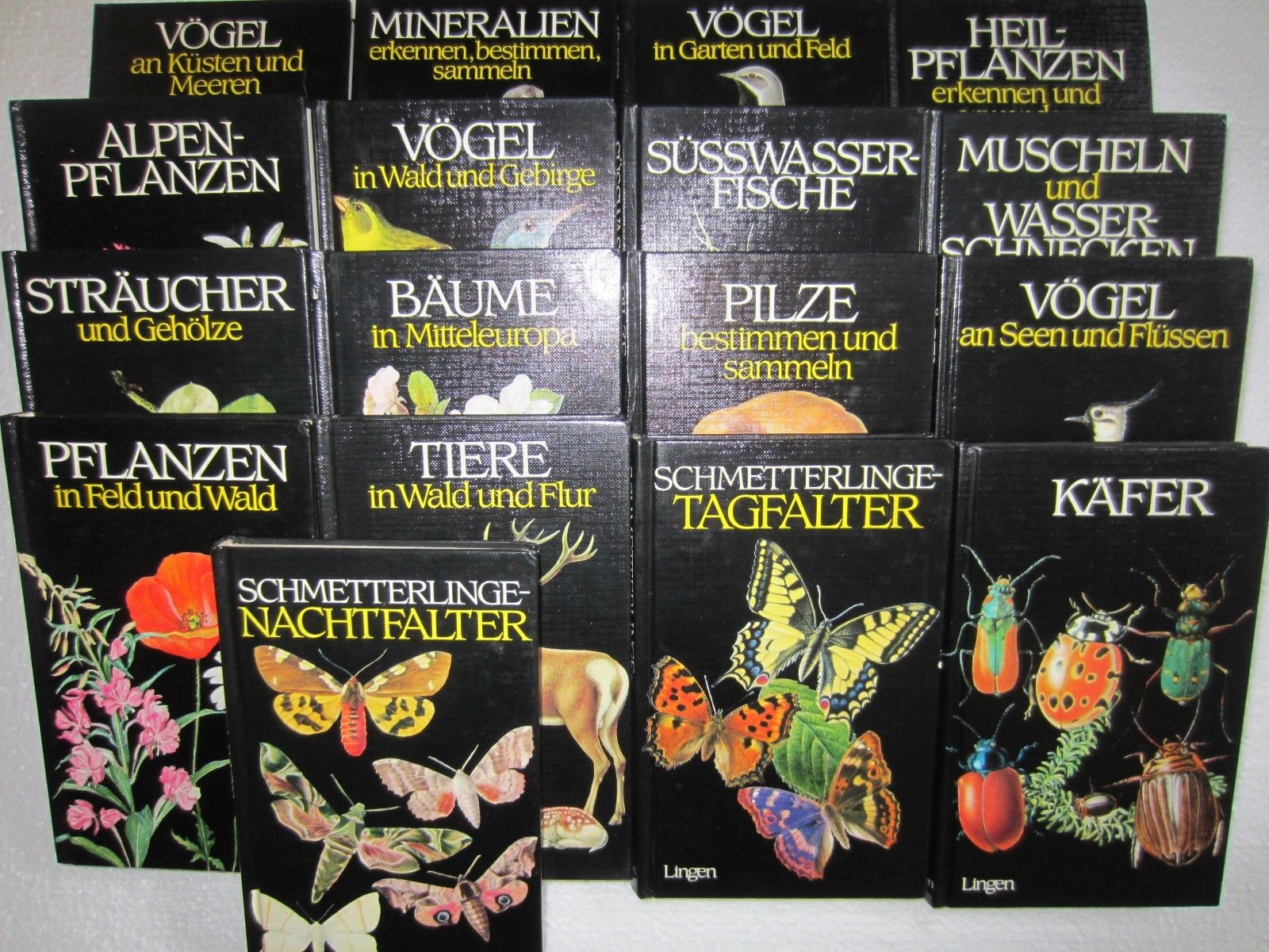 17 Bestimmungsbücher Käfer, Insekten, Pilze, Vögel, Schmetterlinge, Bäume, ...