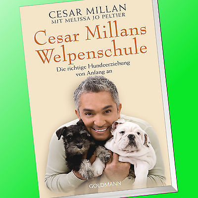 CESAR MILLAN | CESAR MILLANS WELPENSCHULE | Hundeerziehung, Hundeflüsterer(Buch)