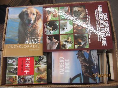 51 Bücher Hunde Hundrassen Hundepflege Hundeerziehung Hundegeschichten