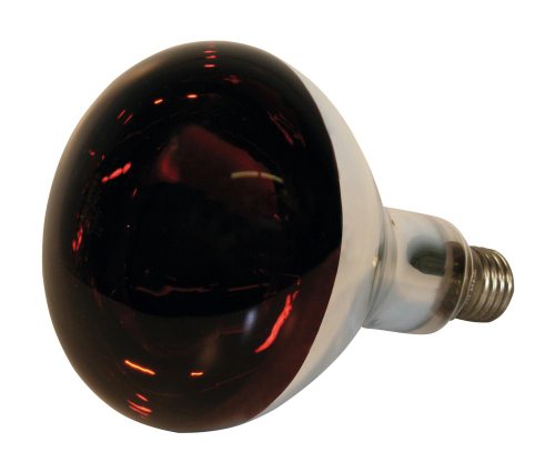 Kerbl 22244 Infrarotlampe Hartglas, 150 W, rot