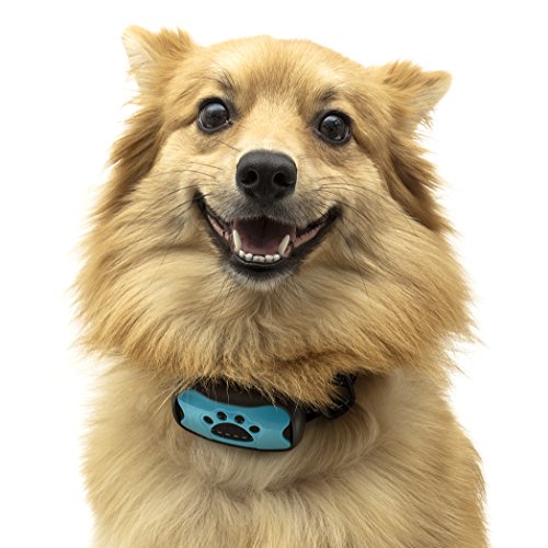 TopDog Anti-Bell-Halsband, hindert Hunde am Bellen mit Ton Vibration, kein Schock, harmlos