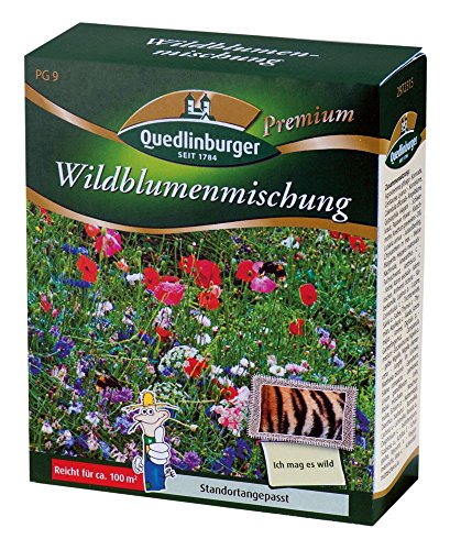 Blumenwiese - Wildblumenmischung (ohne Gräser) von Quedlinburger Saatgut
