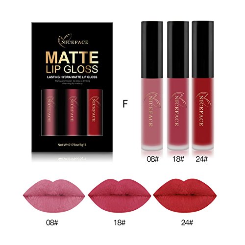 Lippenstift set Liquid Matt Lip Gloss OYOTRIC Wasserdichtes Lippenstift Langlebige Lippenstift Für Lippen Kosmetik Make-up