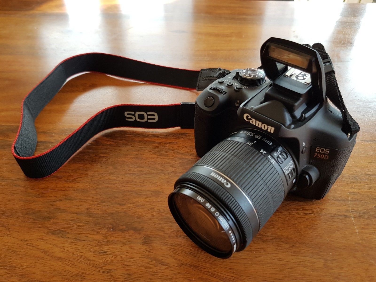 Canon EOS 750D / Rebel T6i 24.2 MP SLR-Digitalkamera (Kit EF-S 18-55)