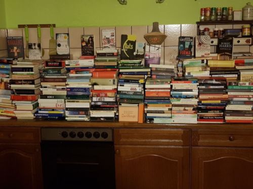 Ca. 1600 Bücher (Belletristik, Krimis, Thriller, Romane, Politik, Kinderbücher) 
