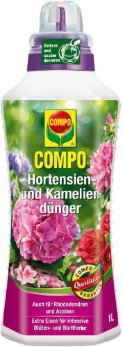 COMPO Hortensien- und Kameliendünger für alle Morbeetpflanzen im Haus, auf Balkon und Terrasse sowie im Garten, Spezial-Flüssigdünger mit extra Eisen, 1 Liter