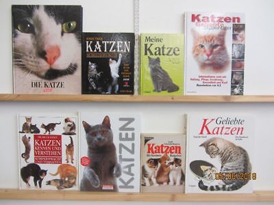 40 Bücher Bildbände Katze Katzenpflege Katzenrassen Katzenerziehung