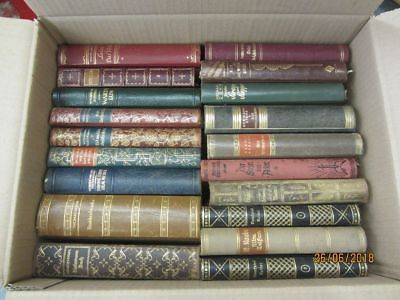 47 Bücher antiquarische Bücher mit edlem Lederbuchrücken Paket 1