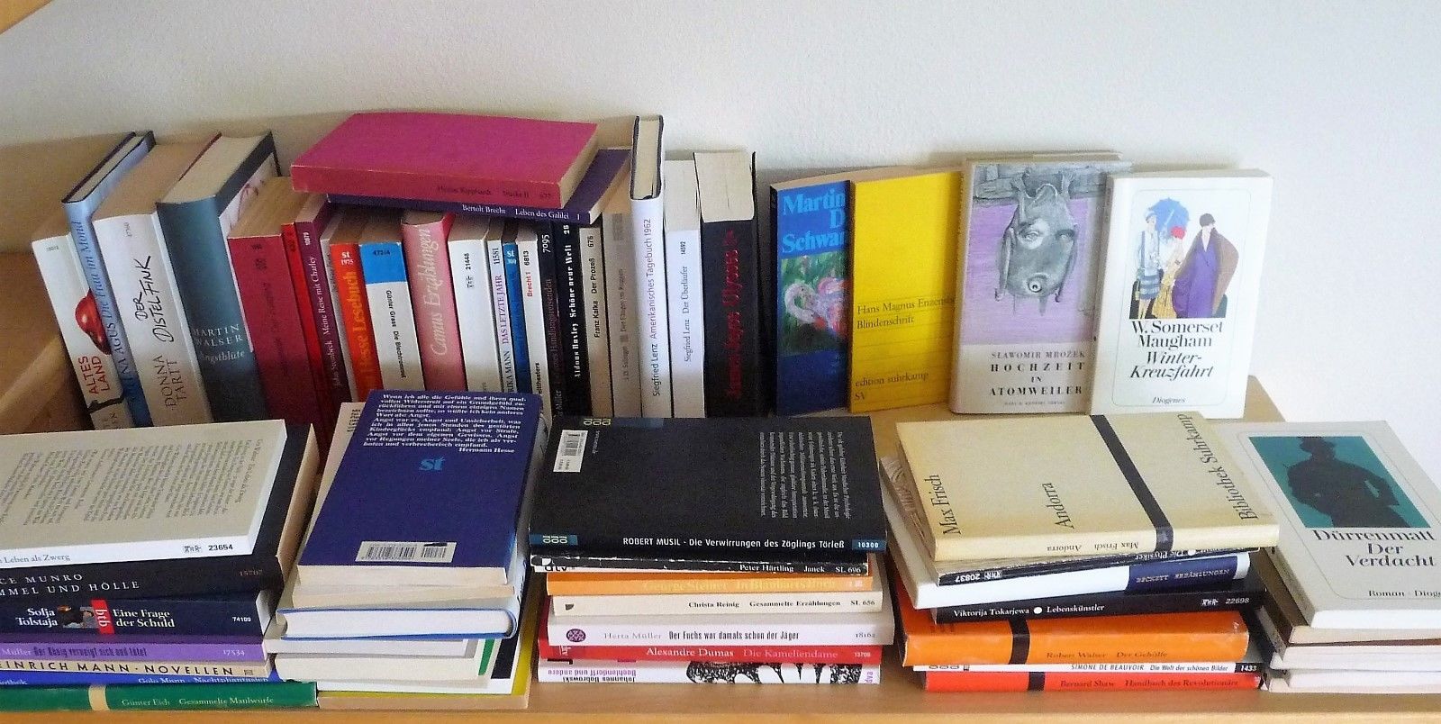 Paket 66 Bücher Weltliteratur Klassiker Hesse Lenz Mann Walser Kafka Camus..