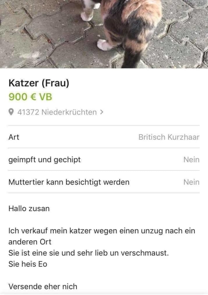 Best Of 31 Ebay Kleinanzeigen Screenshots