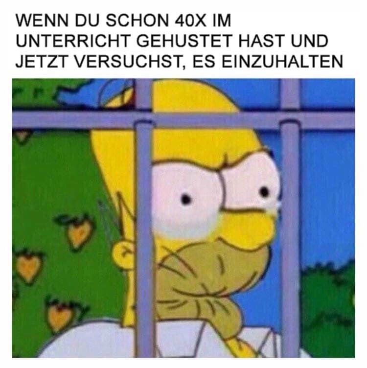 25 Memes Die Dir Aus Der Seele Sprechen Wenn Du Schuler Bist