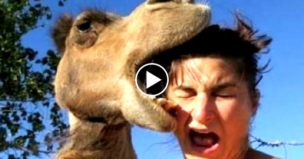 22 Fotos - Die anders geplant waren!