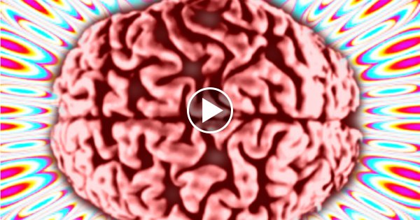 SCHAFFST du es durch DIESES VIDEO ohne DEINEN VERSTAND zu verlieren?