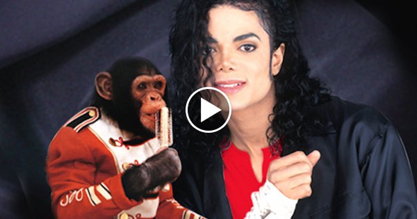 13 Krasse Fakten über Michael Jackson!