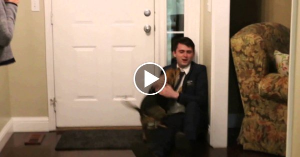 Als dieser Hund sein Herrchen nach 2 Jahren wiedersieht, passiert etwas unglaublich schönes!