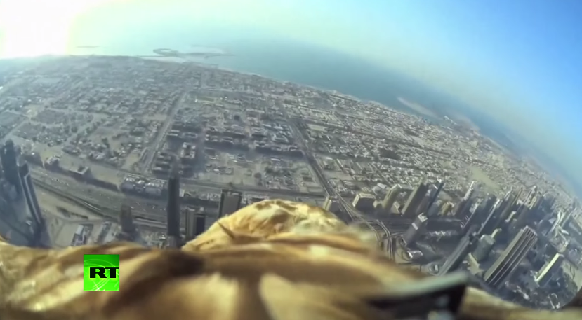 Dieser Adler fliegt von einem Hochhaus in Dubai los und hat eine GoPro auf dem Rücken. Die Filmaufnahmen sind atemberaubend schön!