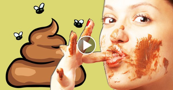 20 Harte Fakten über Scheiße !
