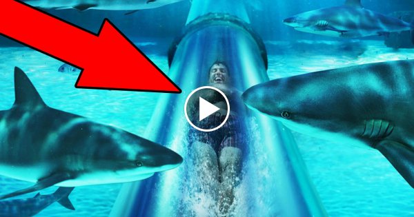18 Krasse Facts in 180 Sekunden!