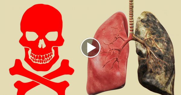 14 Harte Fakten über Rauchen !