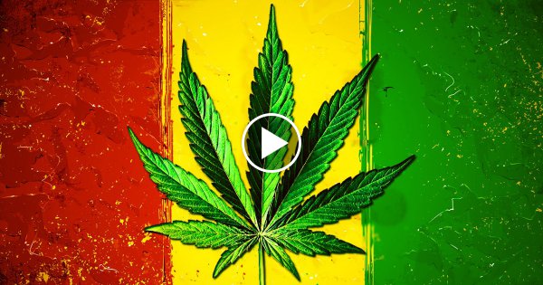 10 Krasse Fakten über Weed!
