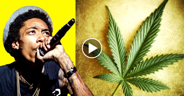 8 Schnelle Fakten über Wiz Khalifa!