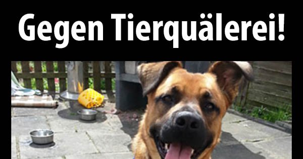 Gegen Tierquälerei!