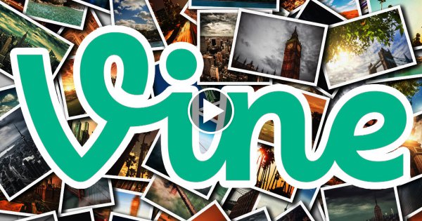 12 Krasse Fakten über Vine!