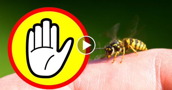 18 Geniale Life Hacks - Für den Alltag!