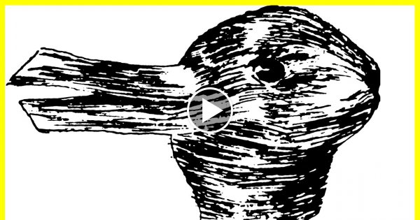 10 Optische Täuschungen - Die Du gesehen haben musst !