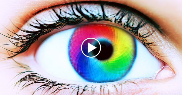 Wie gut siehst du Farben?