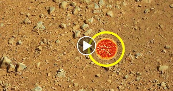 10 verrückte Dinge - Die wir ins Weltall geschossen haben!