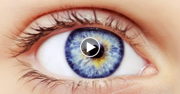 5 Menschen - Mit unglaublichen Eigenschaften!