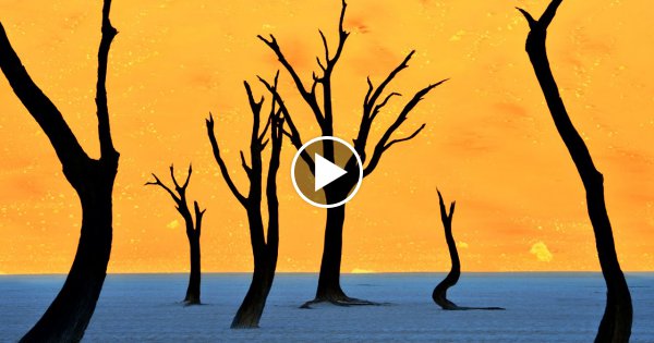 10 Natur Fotos - Die aussehen wie Photoshop!