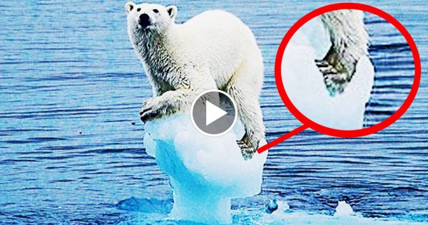 Dieses Video bringt dich zum nachdenken!