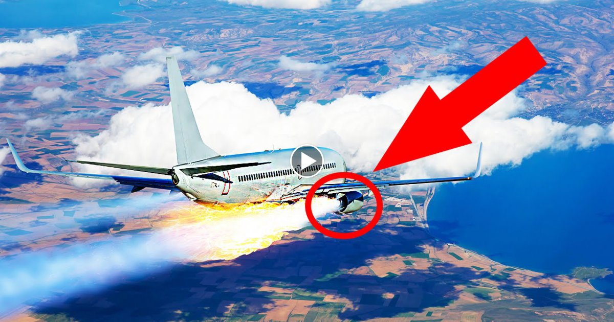 8 Menschen - Die einen FLUGZEUGABSTURZ überlebt haben!