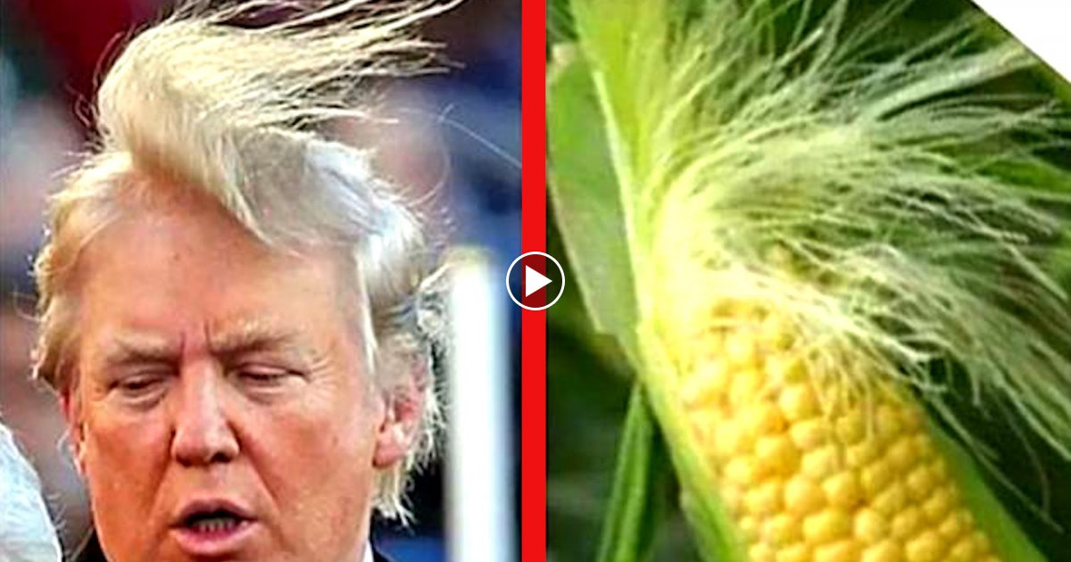 10 Krasse Fakten über Donald Trump!