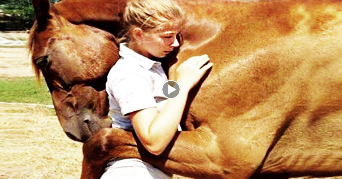 9 Unglaubliche Tiere - Die Menschen gerettet haben!