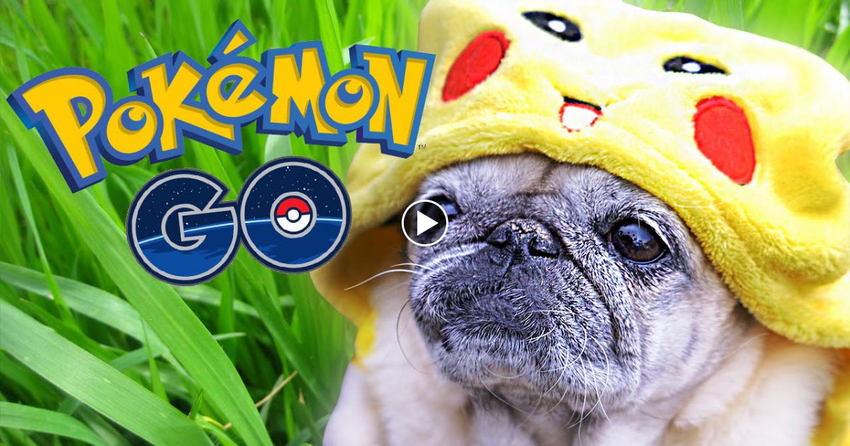 6 Wege Pokémon Go Eier zu brüten!