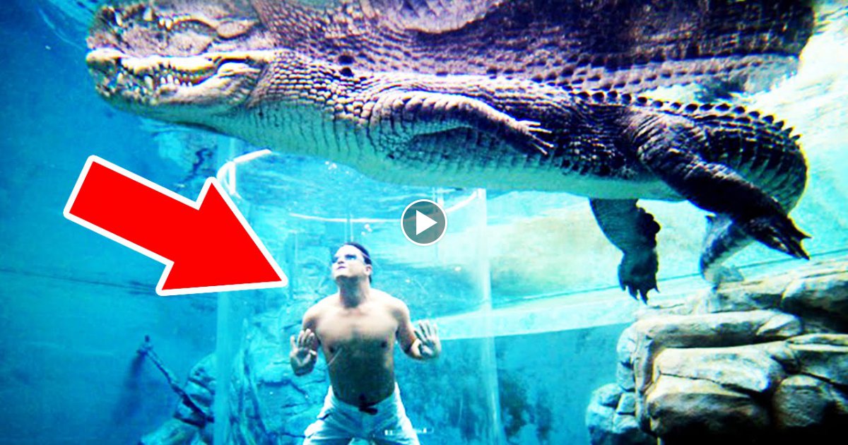 6 Heftige Swimming Pools - Die du gesehen haben musst!